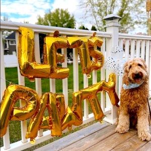 Pet Party Decorations